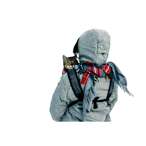 A Person With A Cat In Snowy Field, BC, Capturing Winter Exploration. 14613 - Cat PNG image with transparent background